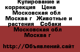 Купирование и коррекция › Цена ­ 100 - Московская обл., Москва г. Животные и растения » Собаки   . Московская обл.,Москва г.